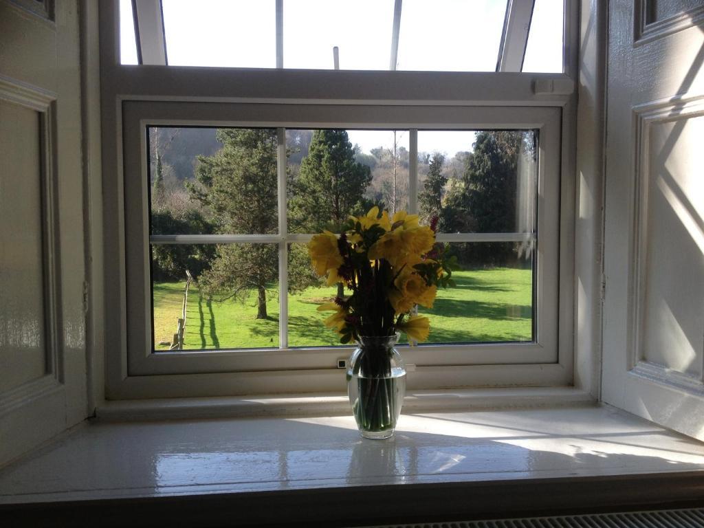 Ashton House Hotel Avoca Eksteriør billede