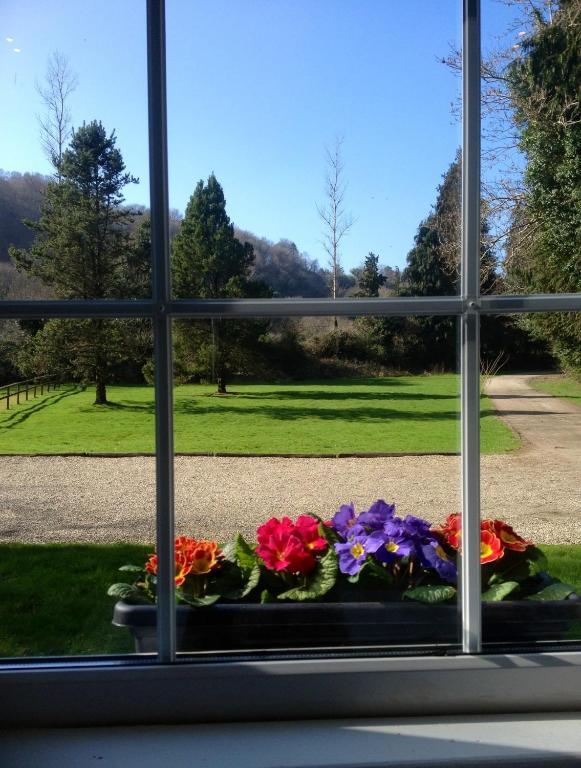 Ashton House Hotel Avoca Eksteriør billede